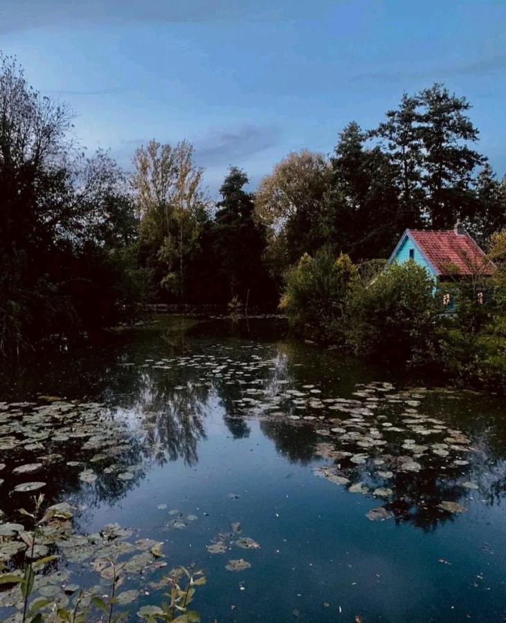 Maison Confortable, Terrasse Et Jardin A Amiens Dış mekan fotoğraf