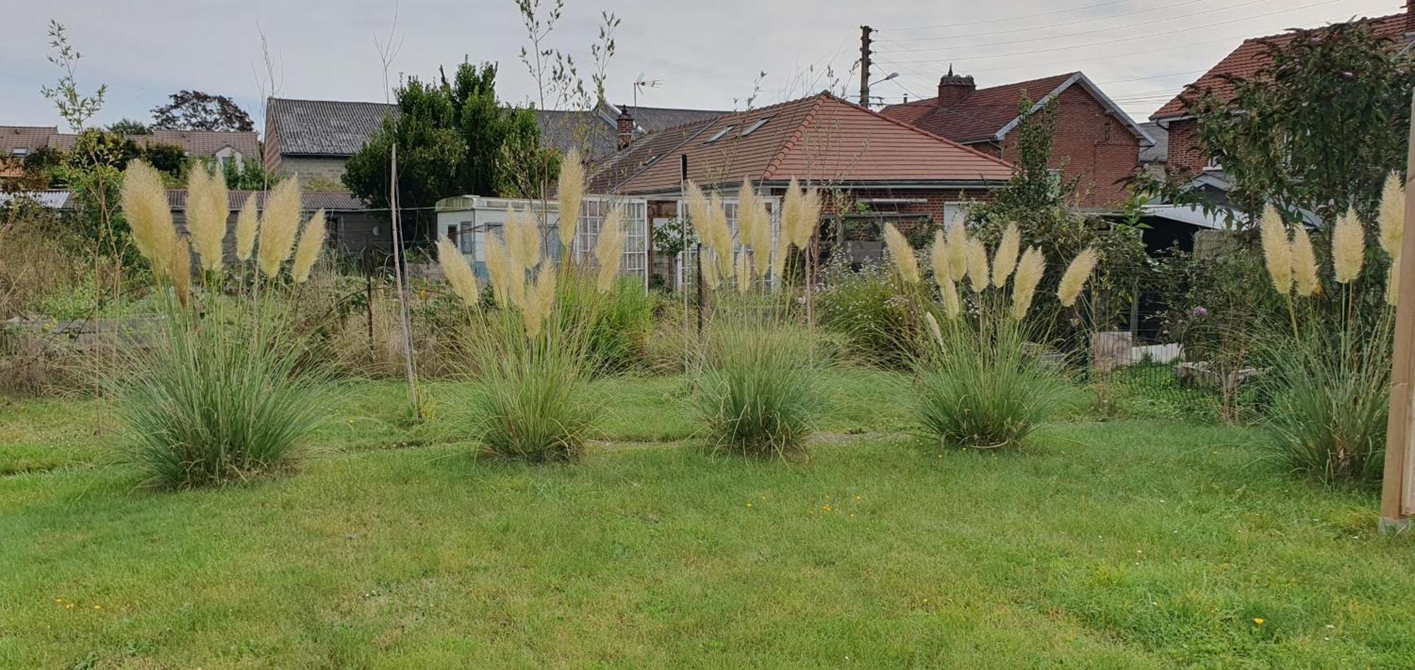 Maison Confortable, Terrasse Et Jardin A Amiens Dış mekan fotoğraf
